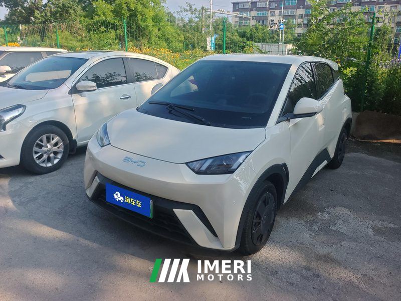 BYD Seagull Honor Edition 305km Vitality Edition - ავტომობილი ჩინეთიდან