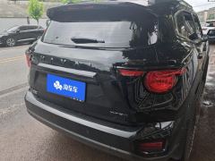 Haval Dargo PLUS 2.0T AWD EditionPlus - ფოტო 2