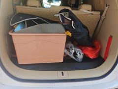 Buick GL8 ES Luxury Edition 2.0T Flagship 7-seater - photo 7