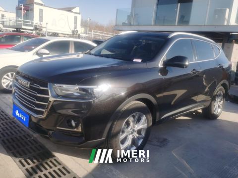 2021 Haval H6 Guochao Edition 1.5T 2WD Champion Edition - ავტომობილი ჩინეთიდან
