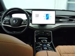 BYD Tang DM-i Edition 1.5T 112km Version 7 - ფოტო 16