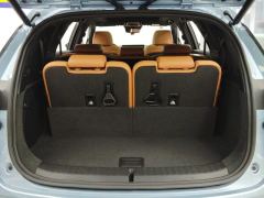 BYD Tang DM-i Edition 1.5T 112km Version 7 - ფოტო 7
