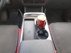 Jetour Dasheng 1.6T PLUS - ფოტო 19