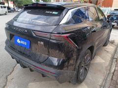 Jetour Dasheng 1.6T PLUS - ფოტო 2