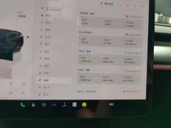 Tesla Model Y 554km Rear-Wheel Drive Edition - ფოტო 20