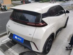 BYD Seagull Honor Edition 305km Free Version - photo 2