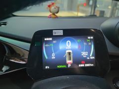 BYD Dolphin Honor Edition 401km Knight Edition - ფოტო 20