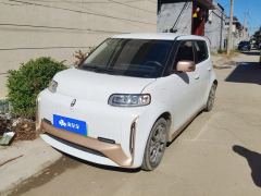 Ora White Cat Edition 360Km Luxury Version - ფოტო 1