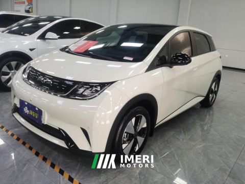 2023 BYD Dolphin 420km Stylish Edition - car from China