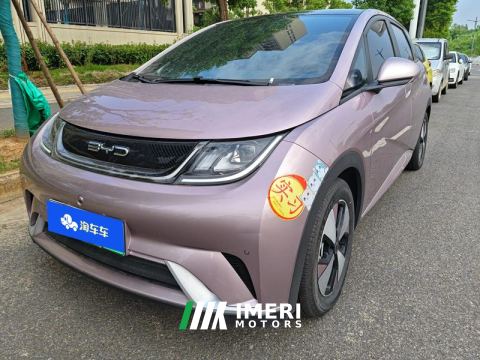 2023 BYD Dolphin 420km Stylish Edition - car from China