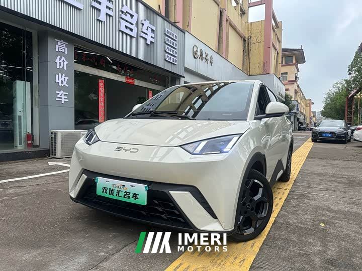 BYD Seagull 305km Freedom Edition - ავტომობილი ჩინეთიდან