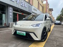 BYD Seagull 305km Freedom Edition - ფოტო 1