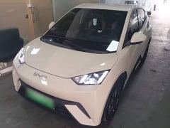 BYD Seagull Freedom Edition - photo 1