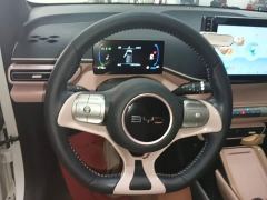 BYD Seagull Freedom Edition - photo 10