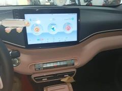 BYD Seagull Freedom Edition - photo 12