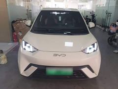 BYD Seagull Freedom Edition - photo 2