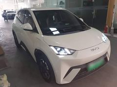 BYD Seagull Freedom Edition - photo 3