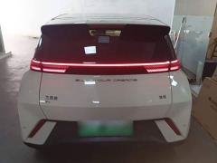 BYD Seagull Freedom Edition - photo 5