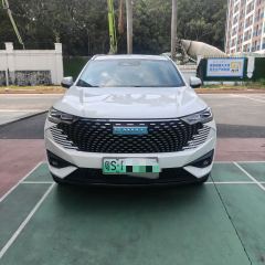 Haval H6 PHEV 1.5T 110km Joy Edition - ფოტო 2