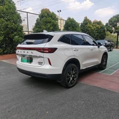 Haval H6 PHEV 1.5T 110km Joy Edition - ფოტო 4