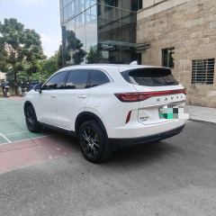 Haval H6 PHEV 1.5T 110km Joy Edition - ფოტო 5