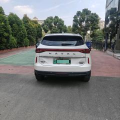 Haval H6 PHEV 1.5T 110km Joy Edition - ფოტო 6