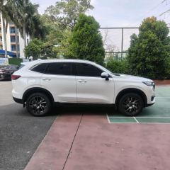 Haval H6 PHEV 1.5T 110km Joy Edition - ფოტო 7