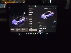 Tesla Model 3 Rear-Wheel Drive - ფოტო 9