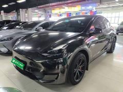 Tesla Model Y Rear-Wheel Drive - фото 1