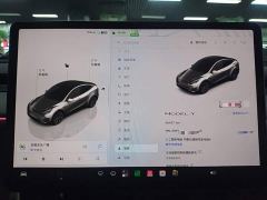 Tesla Model Y Rear-Wheel Drive - фото 11