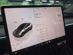 Tesla Model Y Rear-Wheel Drive - фото 12
