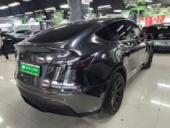 Tesla Model Y Rear-Wheel Drive - фото 6