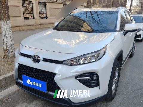 2023 Toyota Wildlander 2.0L 2WD Urban Edition - car from China