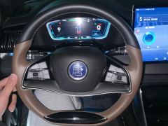 BYD Tang DM-i 1.5T 112KM Precursor Honorable Type - photo 18