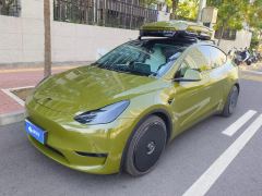 Tesla Model Y 615km Performance High-Performance AWD Version - photo 1