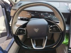 Neta S EREV Edition 310km 1160 Edition - ფოტო 18