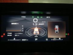 Tank 300 Off-Road Edition 2.0T Conqueror - ფოტო 20