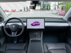 Tesla Model Y Rear-Wheel Drive - ფოტო 12