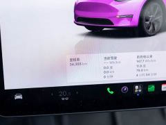 Tesla Model Y Rear-Wheel Drive - ფოტო 20