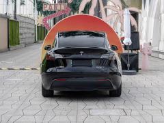 Tesla Model Y Rear-Wheel Drive - ფოტო 6
