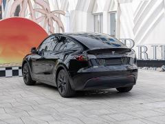 Tesla Model Y Rear-Wheel Drive - ფოტო 7