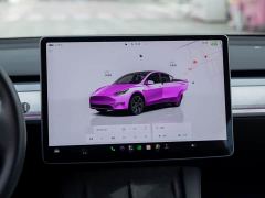 Tesla Model Y Rear-Wheel Drive - ფოტო 9