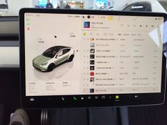 Tesla Model Y 615km Performance High-Performance AWD Version - ფოტო 20