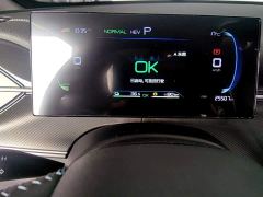 BYD Destroyer 05 Glory Edition DM-i 55KM Luxury - ფოტო 11