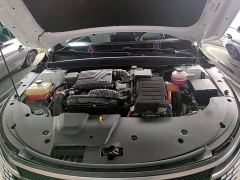BYD Destroyer 05 Glory Edition DM-i 55KM Luxury - ფოტო 19