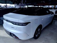 BYD Destroyer 05 Glory Edition DM-i 55KM Luxury - ფოტო 6