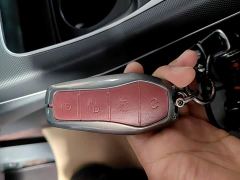BYD Destroyer 05 Glory Edition DM-i 55KM Luxury - ფოტო 8
