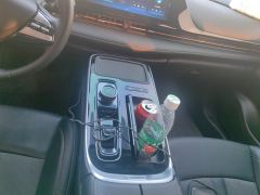 Aion S 480km CHA 580 55.5kWh - фото 19