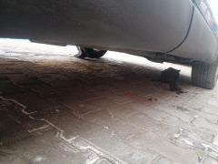 Toyota Frontlander 2.0L Elite Edition - photo 10