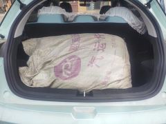 Geely Geometry E Firefly 301km Starlight - ფოტო 7